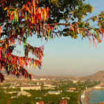 to-know-about-hizgullmes